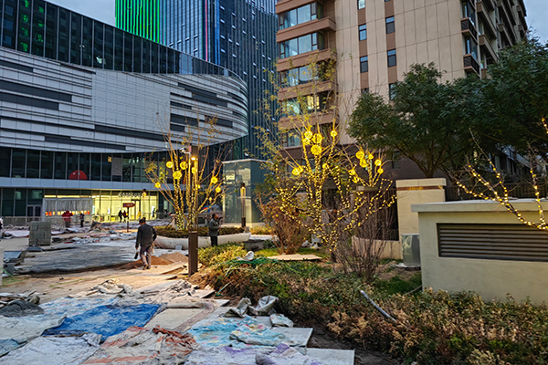 太原龙城万达广场树木亮化